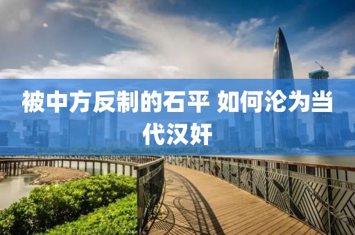 被中方反制的石平 如何沦为当代汉奸