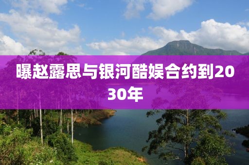 曝赵露思与银河酷娱合约到2030年