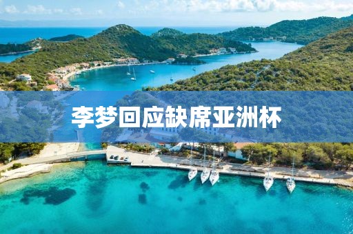 李梦回应缺席亚洲杯