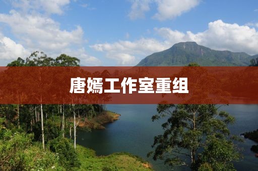唐嫣工作室重组
