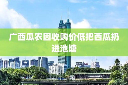 广西瓜农因收购价低把西瓜扔进池塘