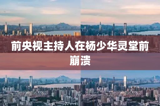 前央视主持人在杨少华灵堂前崩溃