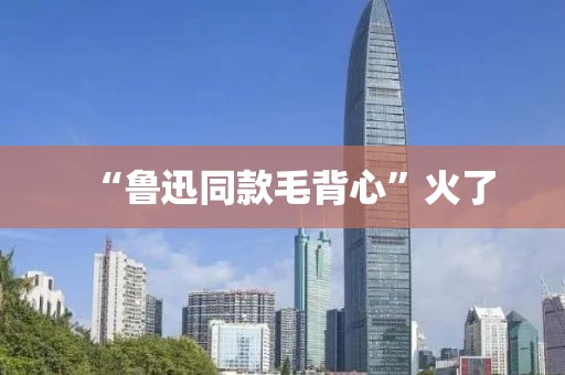 “鲁迅同款毛背心”火了
