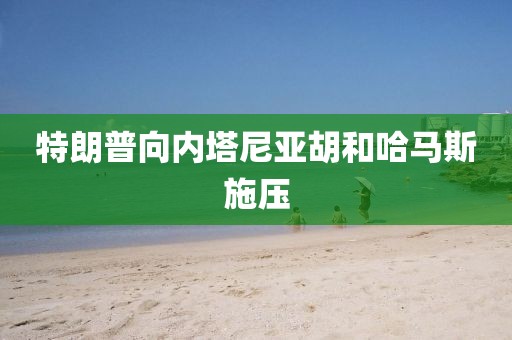 特朗普向内塔尼亚胡和哈马斯施压