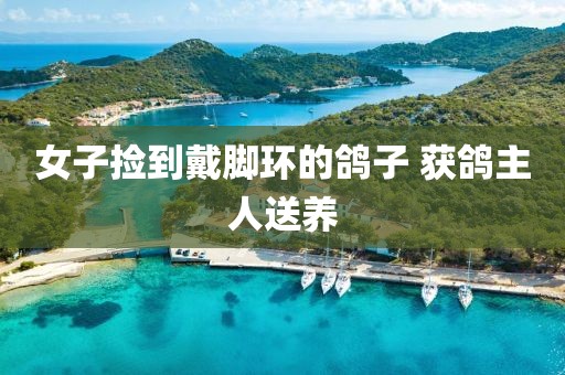 女子捡到戴脚环的鸽子 获鸽主人送养