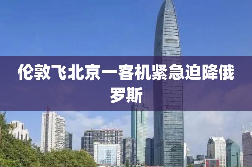 伦敦飞北京一客机紧急迫降俄罗斯