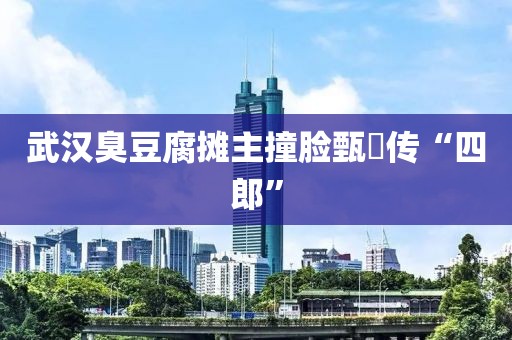 武汉臭豆腐摊主撞脸甄嬛传“四郎”