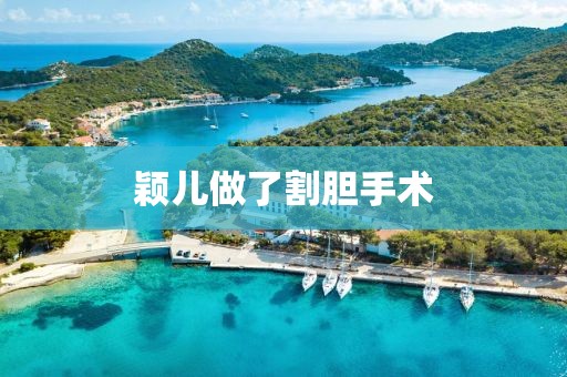 颖儿做了割胆手术