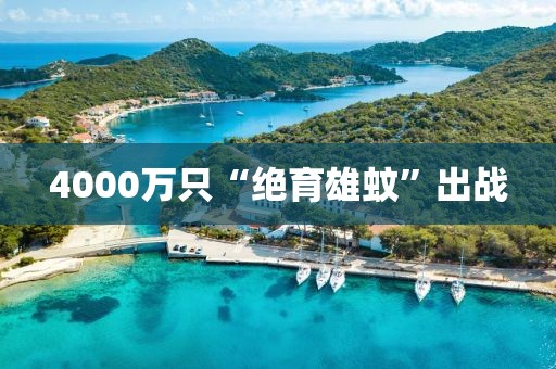 4000万只“绝育雄蚊”出战