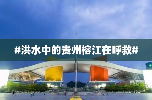 #洪水中的贵州榕江在呼救#