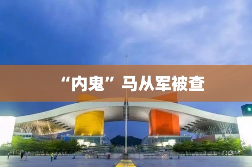 “内鬼”马从军被查