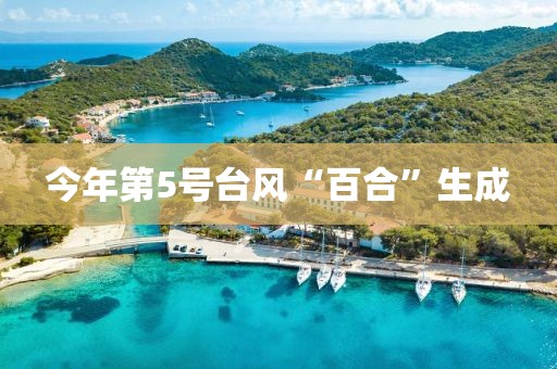 今年第5号台风“百合”生成