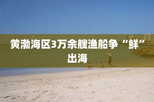 黄渤海区3万余艘渔船争“鲜”出海