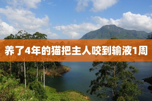 养了4年的猫把主人咬到输液1周