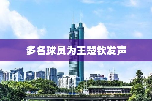 多名球员为王楚钦发声
