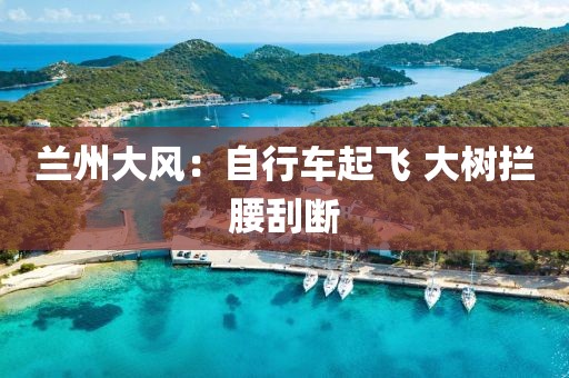 兰州大风：自行车起飞 大树拦腰刮断