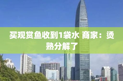 买观赏鱼收到1袋水 商家:烫熟分解了