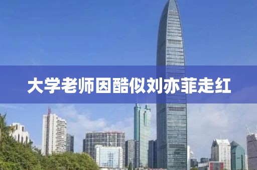 大学老师因酷似刘亦菲走红