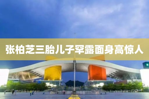 张柏芝三胎儿子罕露面身高惊人