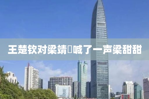 王楚钦对梁靖崑喊了一声梁甜甜