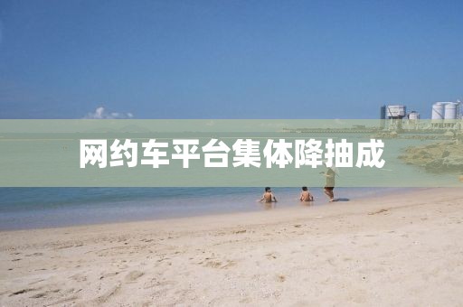 网约车平台集体降抽成