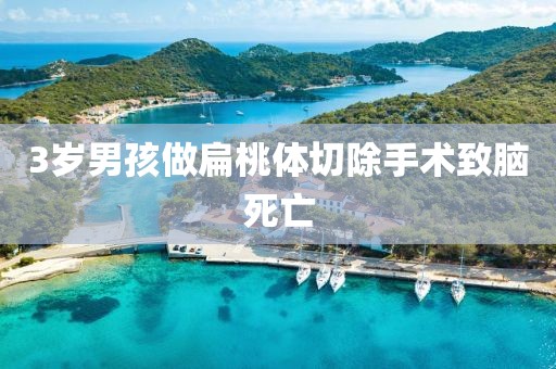 3岁男孩做扁桃体切除手术致脑死亡