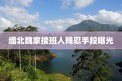 缅北魏家接班人残忍手段曝光