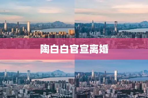 陶白白官宣离婚