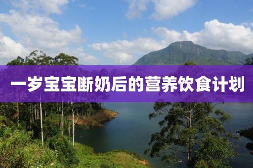 一岁宝宝断奶后的营养饮食计划