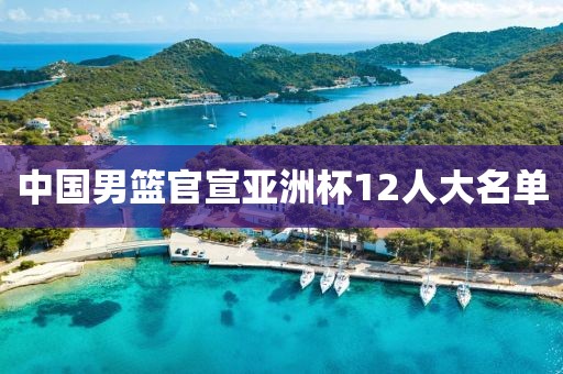 中国男篮官宣亚洲杯12人大名单