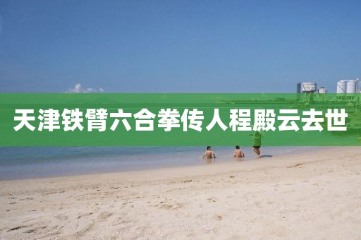 天津铁臂六合拳传人程殿云去世