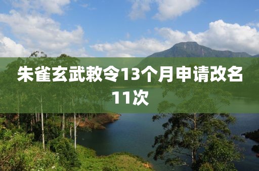 朱雀玄武敕令13个月申请改名11次