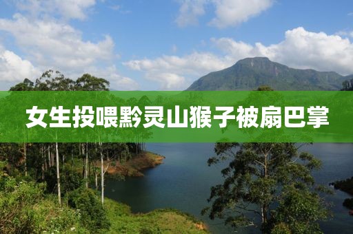 女生投喂黔灵山猴子被扇巴掌