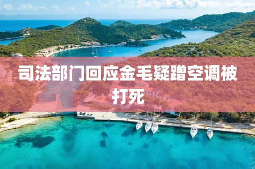 司法部门回应金毛疑蹭空调被打死