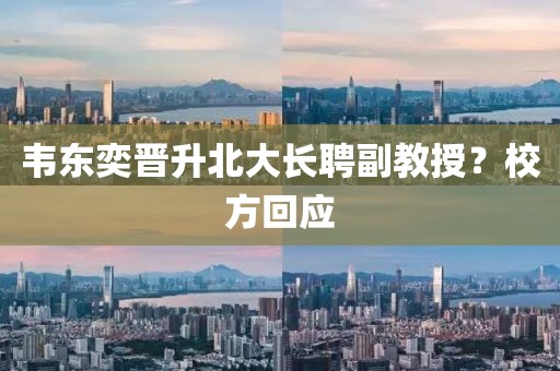 韦东奕晋升北大长聘副教授？校方回应