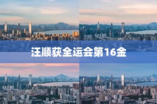 汪顺获全运会第16金