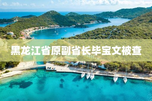 黑龙江省原副省长毕宝文被查