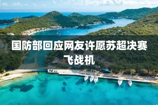 国防部回应网友许愿苏超决赛飞战机