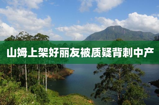 山姆上架好丽友被质疑背刺中产