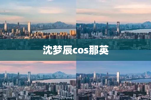 沈梦辰cos那英