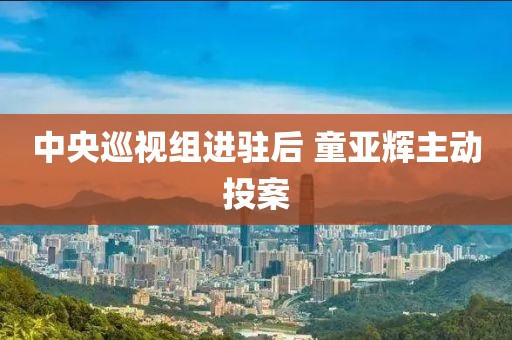 中央巡视组进驻后 童亚辉主动投案