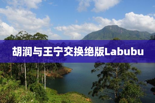 胡润与王宁交换绝版Labubu