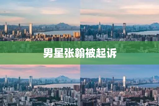 男星张翰被起诉