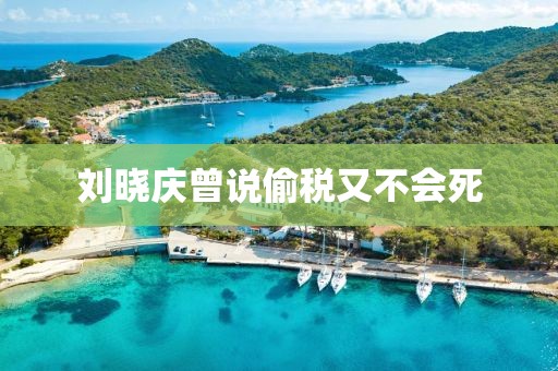 刘晓庆曾说偷税又不会死