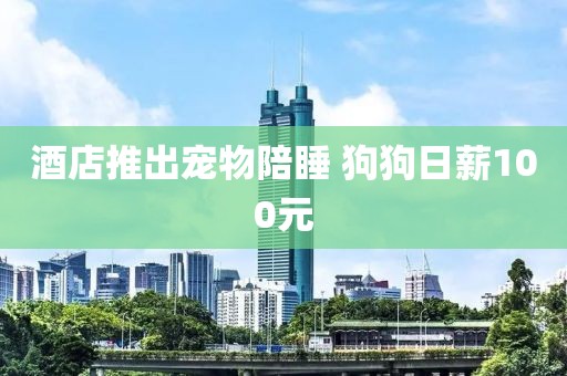 酒店推出宠物陪睡 狗狗日薪100元