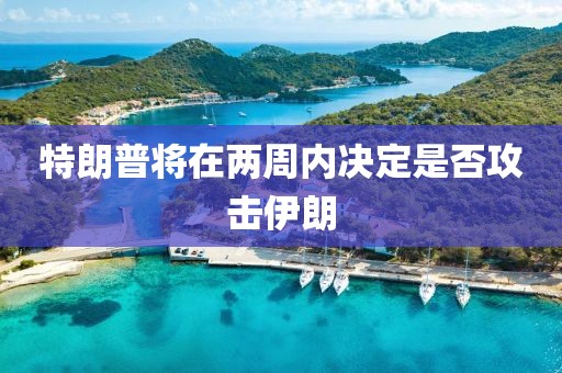 特朗普将在两周内决定是否攻击伊朗
