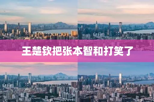 王楚钦把张本智和打笑了