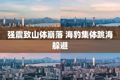 强震致山体崩落 海豹集体跳海躲避