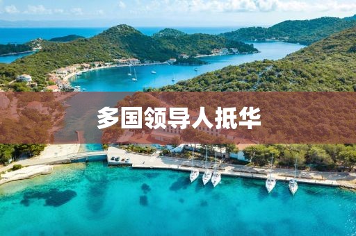 多国领导人抵华
