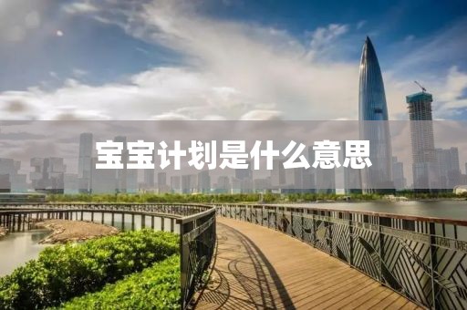 宝宝计划是什么意思